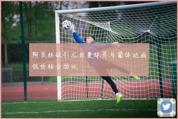 阿莫林欲引尤尔曼球员与葡体达成低价转会协议