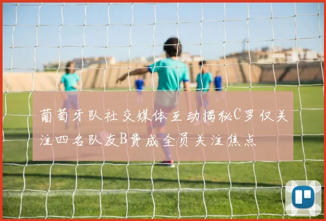 葡萄牙队社交媒体互动揭秘C罗仅关注四名队友B费成全员关注焦点
